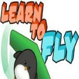 Learn to Fly 1